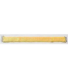 Sequined Elastic Belt