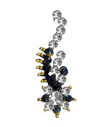 Black with White Stone Decorative Bindi
