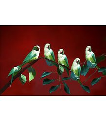 Parrots Enjoying the Morning Sun