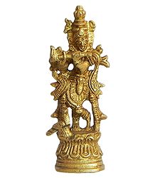 Lord Krishna