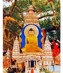 Buddha and Mahabodhi Temple