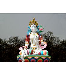 White Tara at Mindrolling Monastery in Dehradun - Uttarakhand, India