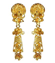 Gold Plated Dangle Earrings