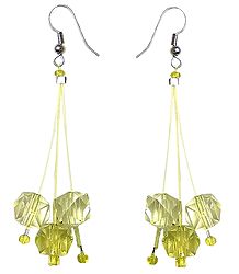 Fancy Custer Earrings