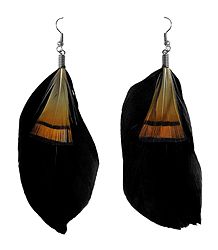 Black Feather Earrings
