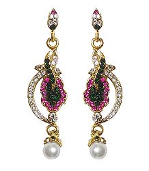 Multicolor Stone Studded Dangle Earrings