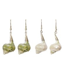 2 Pairs of Shell Earrings