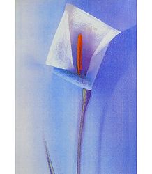 Single Flower