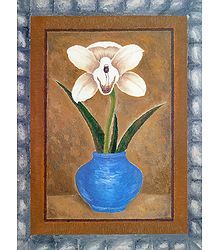 Orchid in a Pot