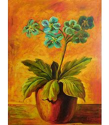Flower Pot