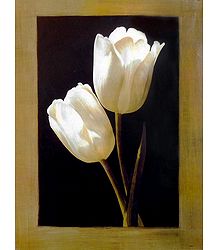 White Tulips