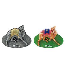 Camels - Set of 2 Magnets