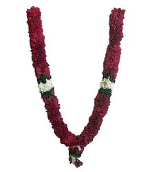 Maroon with White and Green Cloth Garland