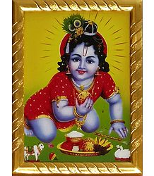 Laddu Gopala - Framed Picture