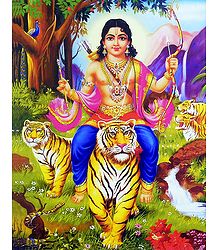 Lord Ayyappan