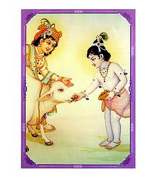 Krishna Balaram and Shiva - Double Sided Laminated Poster