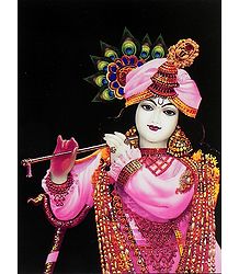 Lord Krishna