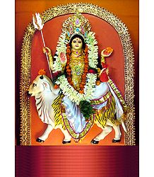 Maha Gauri - the Eighth Form of Navadurga