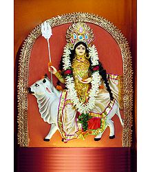 Shailaputri - the First Form of Navadurga
