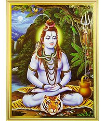 Lord Shiva in Meditation - Unframed Poster