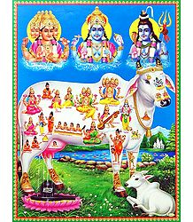 Trinity -Kamadhenu - The Sacred Cow