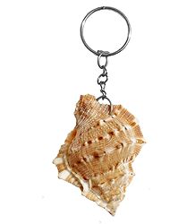 Designer Shell Key Chain