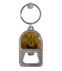 Metal Key Chain with Bottle Opener