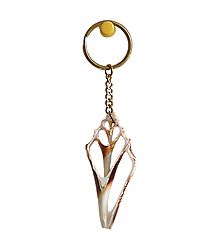 Shell Key Chain