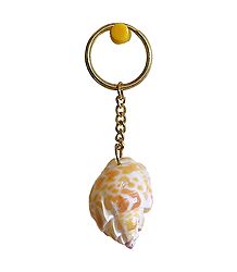 Designer Shell Key Chain