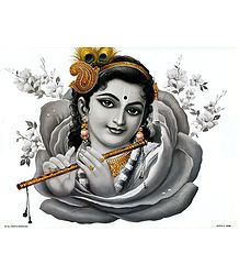 Krishna inside Rose