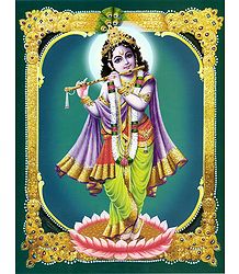 Murlidhar Krishna