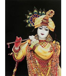 Murlidhar Krishna