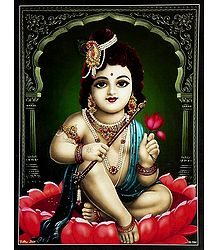 Krishna Sitting on Lotus