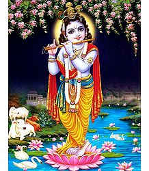Murlidhar Krishna - Poster