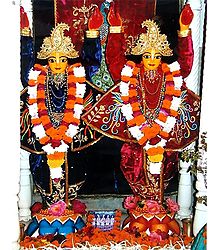 Nitai Gaur - Photo Print