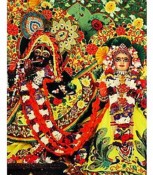 Radha Krishna - Photo Print