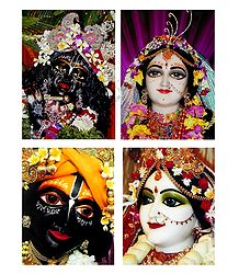 Set of 4 Radha Krishna Photo Print