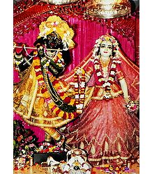 Radha Krishna Picture