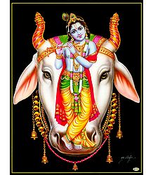 Young Krishna on Cow