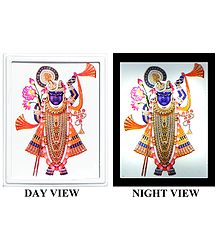 Dwarkadheesh Plug-on Night Lamp with Adaptor