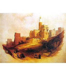 The Desert Kingdom