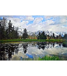 Reflection