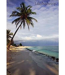 Agatti Island, Lakshadweep, India