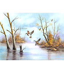 Migration