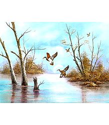 Migration