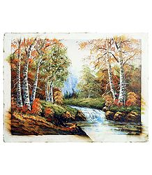 Stream in the Forest