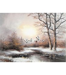 Migration