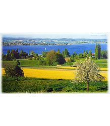 Untersee Lake - Switzerland - Photo by Dietz