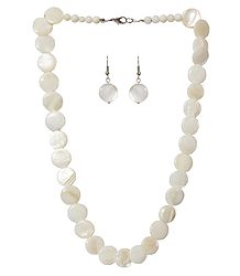 Shell Necklace in Ivory Color