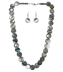 Shell Necklace in Grey
